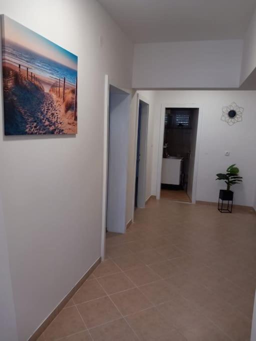 Apartment Dora-100M From The Central Beach Makarska Extérieur photo